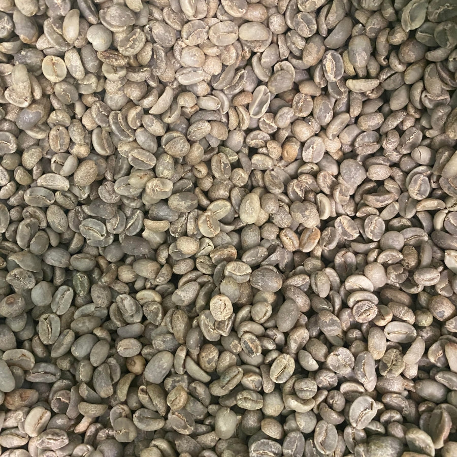 Bloom: Organic Light Medium Roast