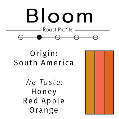 Bloom: Organic Light Medium Roast