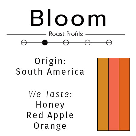 Bloom: Organic Light Medium Roast