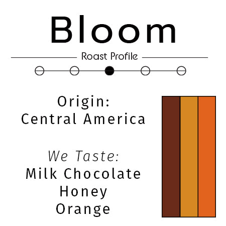 Bloom: Light Medium Roast