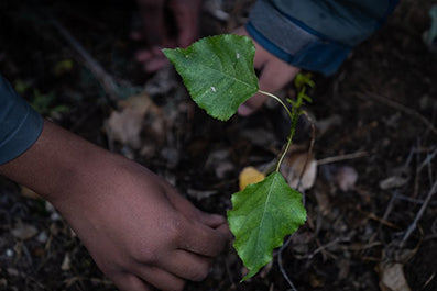 Trees, Water, & People - Loyalty Reward Donation